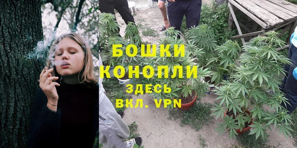 трава Алзамай